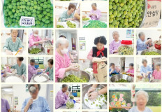2025.06.10 여가활동-매실청담그기(일반실)